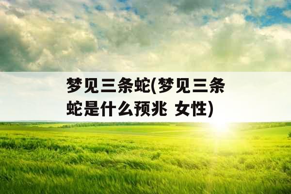 梦见三条蛇(梦见三条蛇是什么预兆 女性)