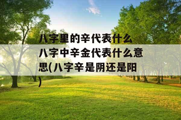 八字里的辛代表什么 八字中辛金代表什么意思(八字辛是阴还是阳)