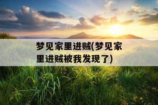 梦见家里进贼(梦见家里进贼被我发现了)