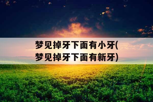 梦见掉牙下面有小牙(梦见掉牙下面有新牙)