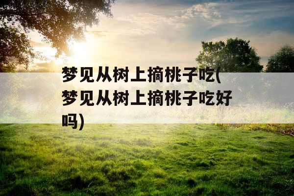 梦见从树上摘桃子吃(梦见从树上摘桃子吃好吗)