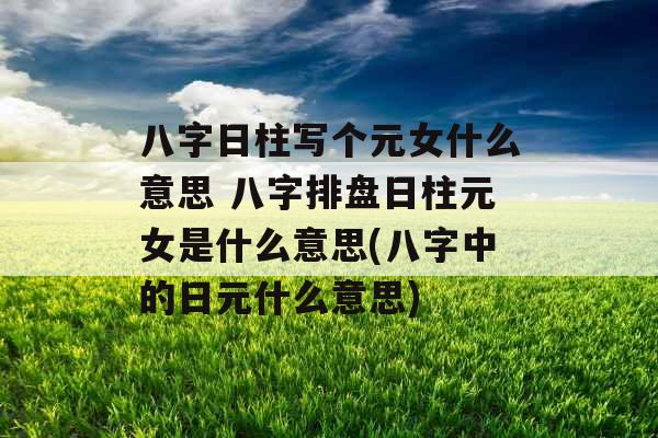 八字日柱写个元女什么意思 八字排盘日柱元女是什么意思(八字中的日元什么意思)