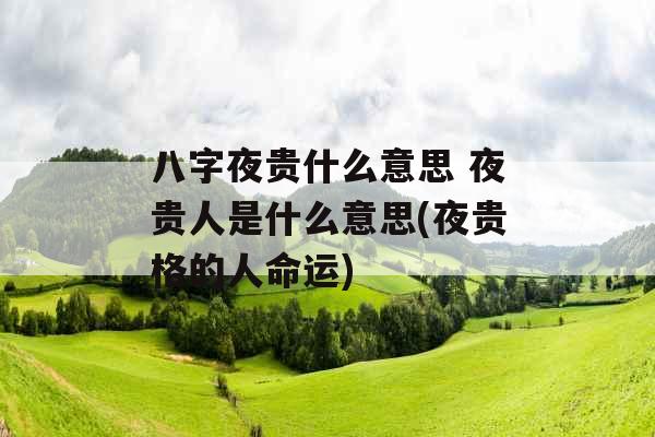 八字夜贵什么意思 夜贵人是什么意思(夜贵格的人命运)