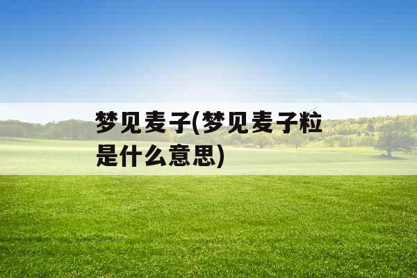 梦见麦子(梦见麦子粒是什么意思)