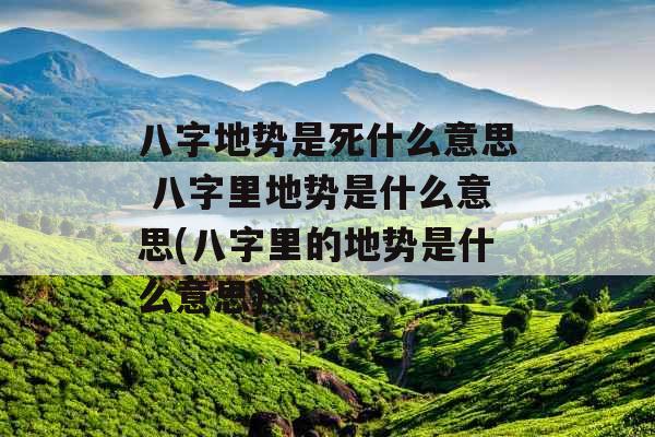 八字地势是死什么意思 八字里地势是什么意思(八字里的地势是什么意思)