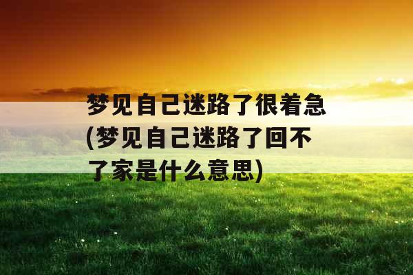 梦见自己迷路了很着急(梦见自己迷路了回不了家是什么意思)