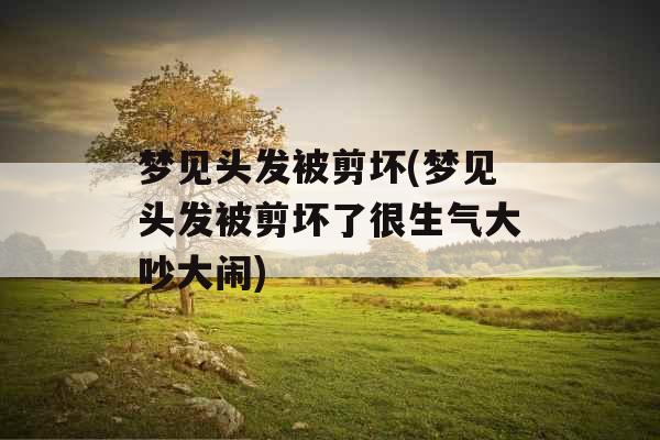 梦见头发被剪坏(梦见头发被剪坏了很生气大吵大闹)