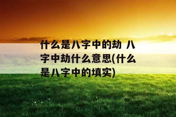 什么是八字中的劫 八字中劫什么意思(什么是八字中的填实)