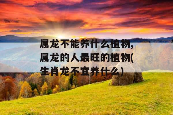 属龙不能养什么植物,属龙的人最旺的植物(生肖龙不宜养什么)