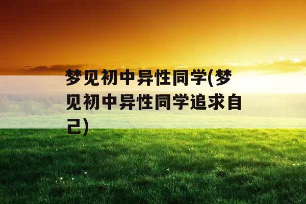 梦见初中异性同学(梦见初中异性同学追求自己)