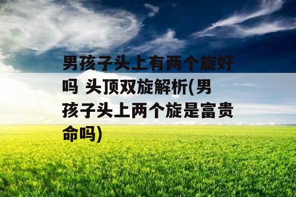 男孩子头上有两个旋好吗 头顶双旋解析(男孩子头上两个旋是富贵命吗)