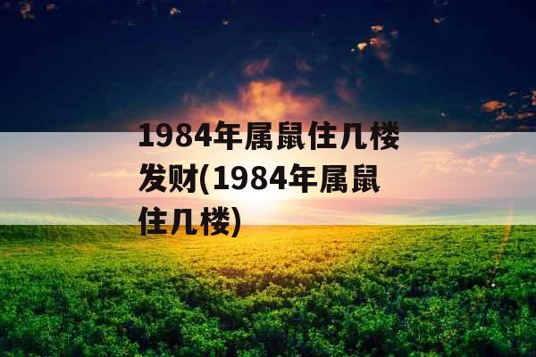1984年属鼠住几楼发财(1984年属鼠住几楼)