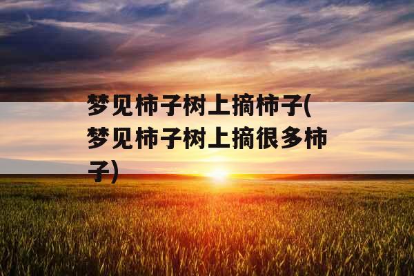 梦见柿子树上摘柿子(梦见柿子树上摘很多柿子)