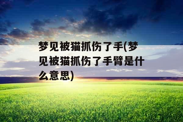 梦见被猫抓伤了手(梦见被猫抓伤了手臂是什么意思)
