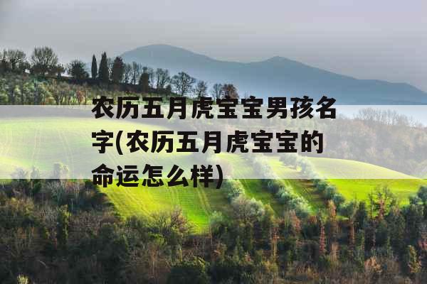 农历五月虎宝宝男孩名字(农历五月虎宝宝的命运怎么样)