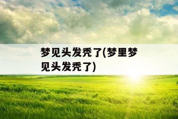 梦见头发秃了(梦里梦见头发秃了) 梦见头发秃了(梦里梦见头发秃了)