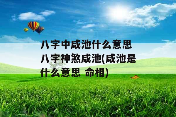 八字中咸池什么意思 八字神煞咸池(咸池是什么意思 命相)