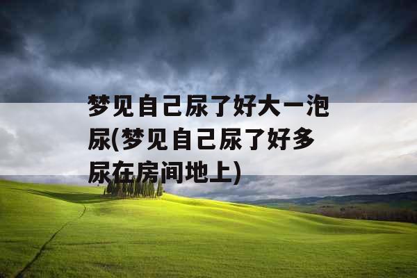 梦见自己尿了好大一泡尿(梦见自己尿了好多尿在房间地上)