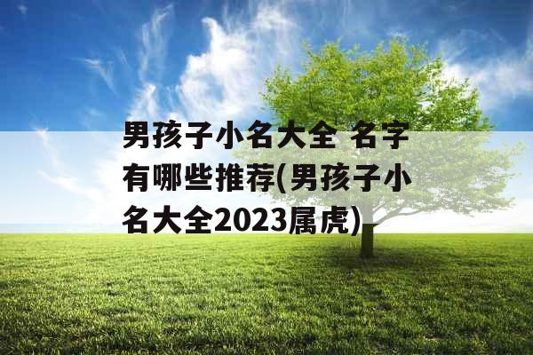 男孩子小名大全 名字有哪些推荐(男孩子小名大全2023属虎)