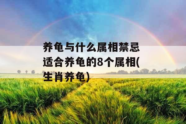 养龟与什么属相禁忌 适合养龟的8个属相(生肖养龟)