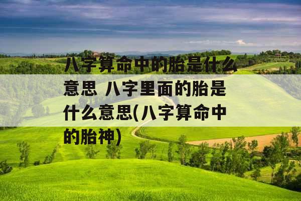 八字算命中的胎是什么意思 八字里面的胎是什么意思(八字算命中的胎神)