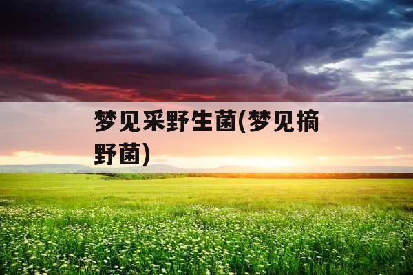 梦见采野生菌(梦见摘野菌)