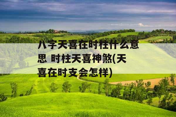 八字天喜在时柱什么意思 时柱天喜神煞(天喜在时支会怎样)