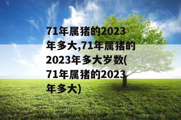 71年属猪的2023年多大,71年属猪的2023年多大岁数(71年属猪的2023年多大)