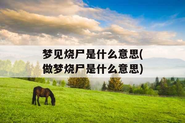 梦见烧尸是什么意思(做梦烧尸是什么意思)