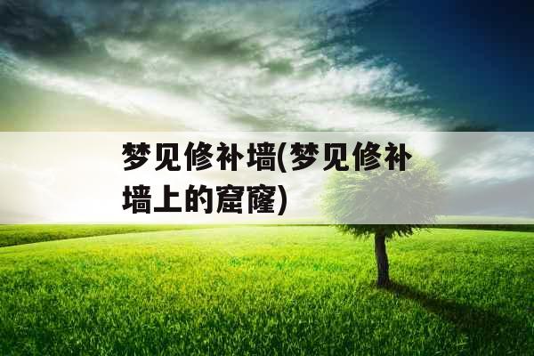 梦见修补墙(梦见修补墙上的窟窿)