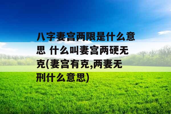 八字妻宫两限是什么意思 什么叫妻宫两硬无克(妻宫有克,两妻无刑什么意思)