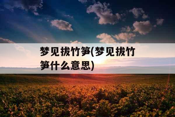 梦见拔竹笋(梦见拔竹笋什么意思)
