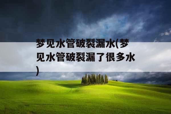 梦见水管破裂漏水(梦见水管破裂漏了很多水)