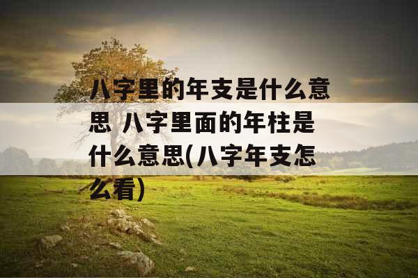 八字里的年支是什么意思 八字里面的年柱是什么意思(八字年支怎么看)