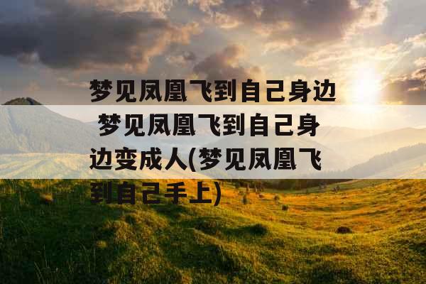 梦见凤凰飞到自己身边 梦见凤凰飞到自己身边变成人(梦见凤凰飞到自己手上)
