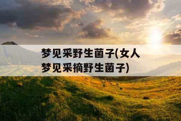 梦见采野生菌子(女人梦见采摘野生菌子) 梦见采野生菌子(女人梦见采摘野生菌子)