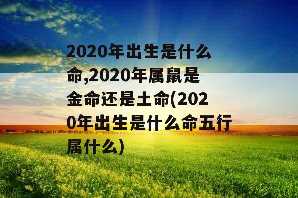 2020年出生是什么命,2020年属鼠是金命还是土命(2020年出生是什么命五行属什么)