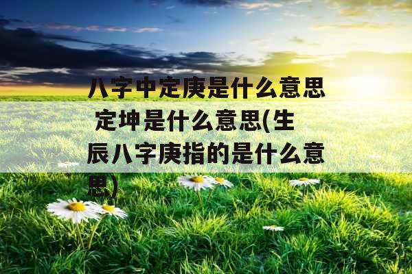 八字中定庚是什么意思 定坤是什么意思(生辰八字庚指的是什么意思)