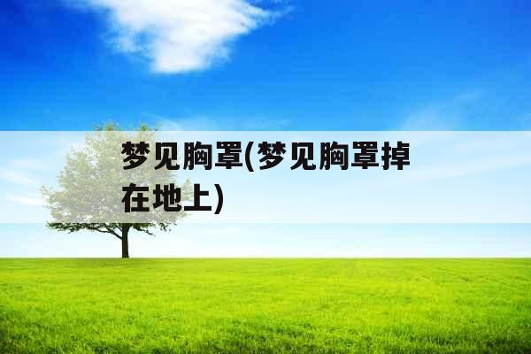 梦见胸罩(梦见胸罩掉在地上)