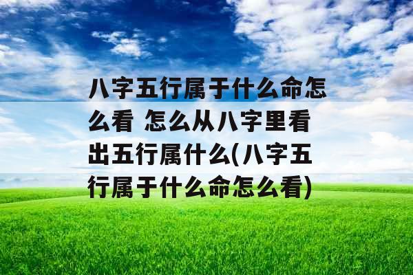 八字五行属于什么命怎么看 怎么从八字里看出五行属什么(八字五行属于什么命怎么看)