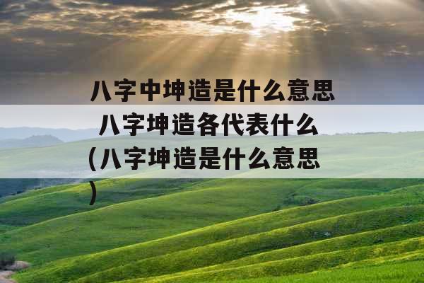 八字中坤造是什么意思 八字坤造各代表什么(八字坤造是什么意思)