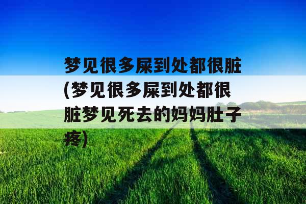 梦见很多屎到处都很脏(梦见很多屎到处都很脏梦见死去的妈妈肚子疼) 梦见很多屎到处都很脏(梦见很多屎到处都很脏梦见死去的妈妈肚子疼)