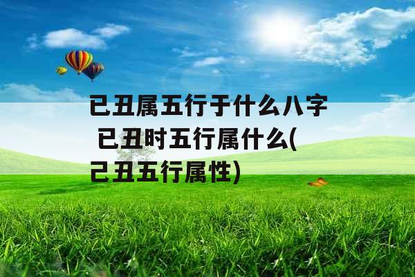 已丑属五行于什么八字 已丑时五行属什么(己丑五行属性)