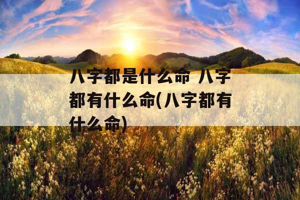 八字都是什么命 八字都有什么命(八字都有什么命)