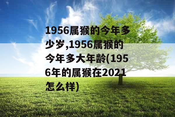 1956属猴的今年多少岁,1956属猴的今年多大年龄(1956年的属猴在2021怎么样)