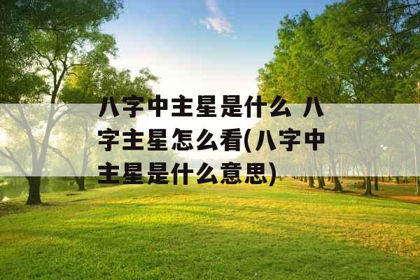 八字中主星是什么 八字主星怎么看(八字中主星是什么意思)