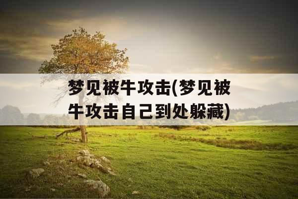 梦见被牛攻击(梦见被牛攻击自己到处躲藏)