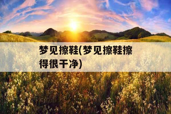 梦见擦鞋(梦见擦鞋擦得很干净)