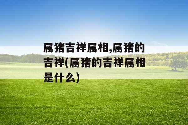 属猪吉祥属相,属猪的吉祥(属猪的吉祥属相是什么)