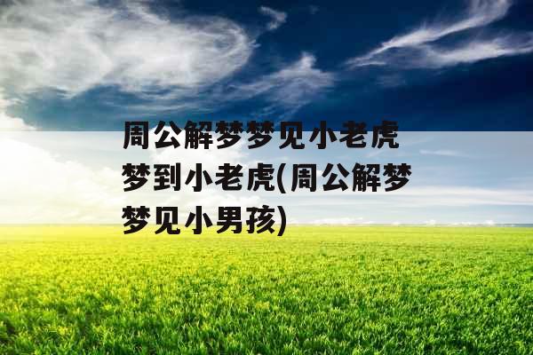 周公解梦梦见小老虎 梦到小老虎(周公解梦梦见小男孩)